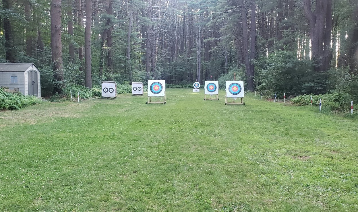 A group of targets in a field